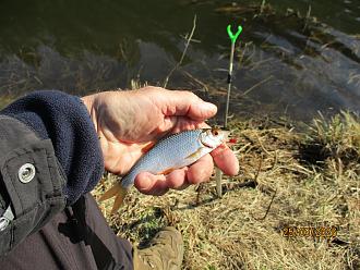 Нажмите на изображение для увеличения.

Название:	IMG_0649.JPG
Просмотров:	226
Размер:	513.5 Кб
ID:	4557443