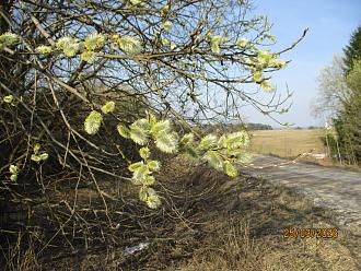 Нажмите на изображение для увеличения.

Название:	IMG_0656.JPG
Просмотров:	235
Размер:	579.5 Кб
ID:	4557450