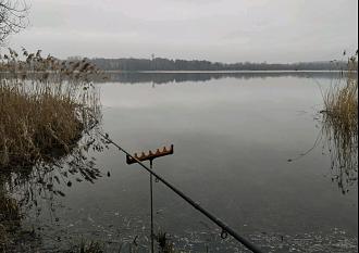 Нажмите на изображение для увеличения.  Название:	IMG_20260327_150727.jpg Просмотров:	133 Размер:	147.6 Кб ID:	4557578