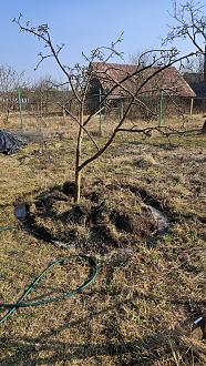 Нажмите на изображение для увеличения.

Название:	20260328_102752.jpg
Просмотров:	109
Размер:	652.5 Кб
ID:	4557664