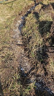 Нажмите на изображение для увеличения.

Название:	20260328_104455.jpg
Просмотров:	108
Размер:	689.4 Кб
ID:	4557667