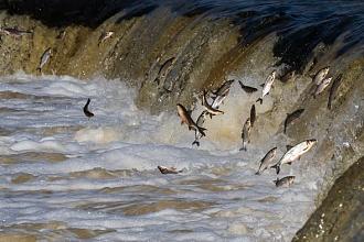 Нажмите на изображение для увеличения.

Название:	657933285_1585310763394049_7375499445386998564_n.jpg
Просмотров:	115
Размер:	67.4 Кб
ID:	4557694