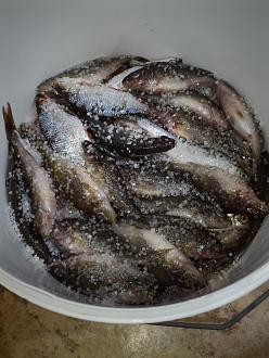 Нажмите на изображение для увеличения.  Название:	IMG20260328215055.jpg Просмотров:	0 Размер:	352.1 Кб ID:	4557701