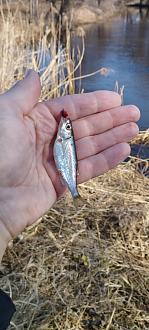 Нажмите на изображение для увеличения.

Название:	IMG_20260328_111000.jpg
Просмотров:	37
Размер:	232.1 Кб
ID:	4557710