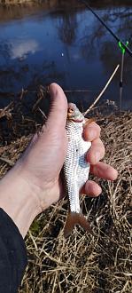 Нажмите на изображение для увеличения.

Название:	IMG_20260328_130944.jpg
Просмотров:	32
Размер:	237.6 Кб
ID:	4557711