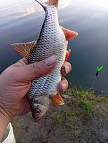 Нажмите на изображение для увеличения.  Название:	IMG_20260328_181824.jpg Просмотров:	0 Размер:	318.8 Кб ID:	4557735