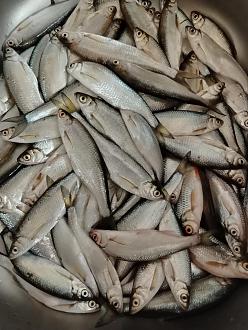 Нажмите на изображение для увеличения.  Название:	IMG_20260329_221026.jpg Просмотров:	0 Размер:	379.6 Кб ID:	4557817