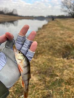 Нажмите на изображение для увеличения.

Название:	photo_2_2026-03-30_10-59-08.jpg
Просмотров:	247
Размер:	173.9 Кб
ID:	4557849