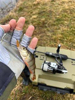 Нажмите на изображение для увеличения.

Название:	photo_5_2026-03-30_10-59-08.jpg
Просмотров:	249
Размер:	197.9 Кб
ID:	4557850