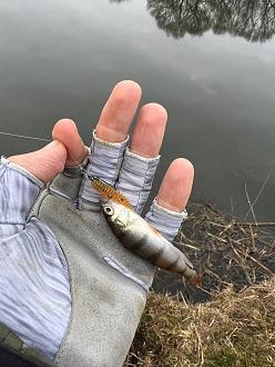 Нажмите на изображение для увеличения.

Название:	photo_6_2026-03-30_10-59-08.jpg
Просмотров:	258
Размер:	245.1 Кб
ID:	4557851