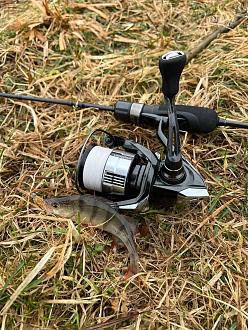 Нажмите на изображение для увеличения.

Название:	photo_1_2026-03-30_10-59-08.jpg
Просмотров:	244
Размер:	457.1 Кб
ID:	4557852