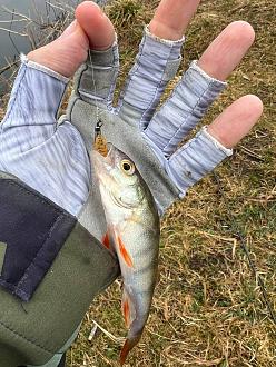 Нажмите на изображение для увеличения.

Название:	photo_4_2026-03-30_10-59-08.jpg
Просмотров:	249
Размер:	421.3 Кб
ID:	4557853