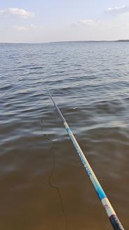 Нажмите на изображение для увеличения.

Название:	Screenshot_2026-03-30-10-31-13-64_92460851df6f172a4592fca41cc2d2e6.jpg
Просмотров:	215
Размер:	250.2 Кб
ID:	4557872