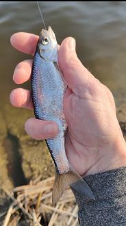 Нажмите на изображение для увеличения.

Название:	Screenshot_2026-03-30-10-30-16-42_92460851df6f172a4592fca41cc2d2e6.jpg
Просмотров:	102
Размер:	368.2 Кб
ID:	4557873