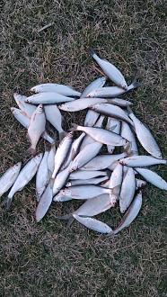 Нажмите на изображение для увеличения.

Название:	Screenshot_2026-03-30-10-27-57-09_92460851df6f172a4592fca41cc2d2e6.jpg
Просмотров:	111
Размер:	753.2 Кб
ID:	4557874