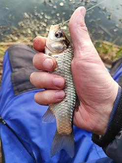 Нажмите на изображение для увеличения.

Название:	IMG_20260329_180458.jpg
Просмотров:	212
Размер:	337.6 Кб
ID:	4557910