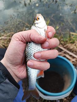 Нажмите на изображение для увеличения.

Название:	IMG_20260329_185159.jpg
Просмотров:	210
Размер:	344.3 Кб
ID:	4557911