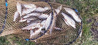 Нажмите на изображение для увеличения.

Название:	IMG_20260330_182118.jpg
Просмотров:	231
Размер:	529.3 Кб
ID:	4557932