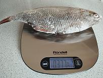 Нажмите на изображение для увеличения.

Название:	IMG_20260331_085643.jpg
Просмотров:	103
Размер:	503.1 Кб
ID:	4557941