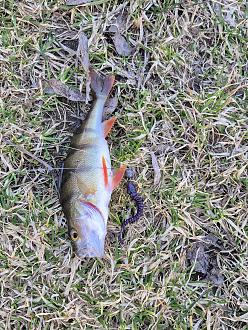 Нажмите на изображение для увеличения.

Название:	20260401_191419.jpg
Просмотров:	681
Размер:	754.9 Кб
ID:	4558047