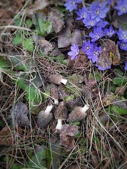 Нажмите на изображение для увеличения.

Название:	IMG_20260402_071300_411.jpg
Просмотров:	72
Размер:	315.8 Кб
ID:	4558104