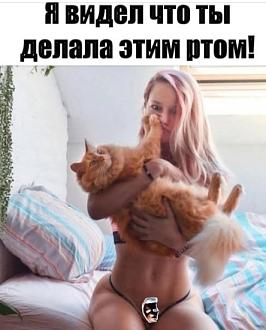 Нажмите на изображение для увеличения.

Название:	Скриншот 02-04-2026 103516.jpg
Просмотров:	72
Размер:	53.3 Кб
ID:	4558114