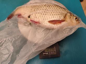 Нажмите на изображение для увеличения.

Название:	IMG_20260401_213320.jpg
Просмотров:	203
Размер:	422.6 Кб
ID:	4558157