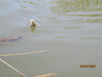 Нажмите на изображение для увеличения.

Название:	IMG_0674.JPG
Просмотров:	356
Размер:	247.4 Кб
ID:	4558164