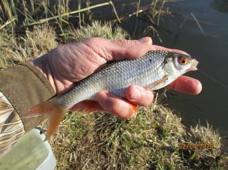 Нажмите на изображение для увеличения.

Название:	IMG_0670.JPG
Просмотров:	339
Размер:	504.0 Кб
ID:	4558170