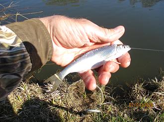 Нажмите на изображение для увеличения.

Название:	IMG_0679.JPG
Просмотров:	346
Размер:	550.0 Кб
ID:	4558171