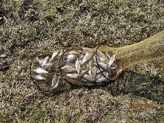 Нажмите на изображение для увеличения.

Название:	IMG_0680.JPG
Просмотров:	389
Размер:	794.2 Кб
ID:	4558173