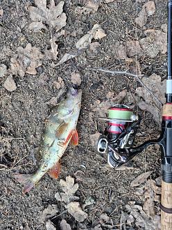 Нажмите на изображение для увеличения.

Название:	20260403_193137(0).jpg
Просмотров:	214
Размер:	695.3 Кб
ID:	4558217