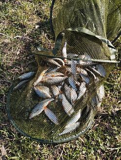 Нажмите на изображение для увеличения.  Название:	IMG_20260403_165633.jpg Просмотров:	1 Размер:	667.4 Кб ID:	4558221