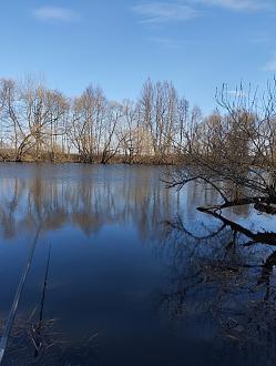 Нажмите на изображение для увеличения.  Название:	IMG_20260403_162303.jpg Просмотров:	1 Размер:	480.2 Кб ID:	4558222