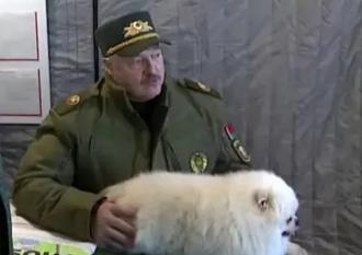 Нажмите на изображение для увеличения.

Название:	IMG_20260405_152430.jpg
Просмотров:	0
Размер:	40.2 Кб
ID:	4558352