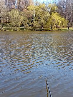 Нажмите на изображение для увеличения.

Название:	IMG_20260405_114343.jpg
Просмотров:	177
Размер:	533.5 Кб
ID:	4558363