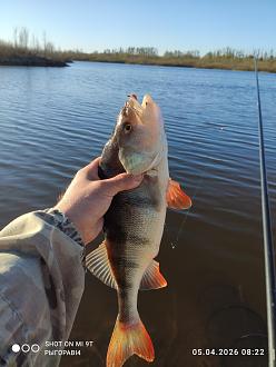 Нажмите на изображение для увеличения.

Название:	IMG_20260405_082225.jpg
Просмотров:	81
Размер:	289.8 Кб
ID:	4558392