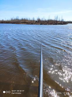 Нажмите на изображение для увеличения.

Название:	IMG_20260405_120941.jpg
Просмотров:	46
Размер:	473.2 Кб
ID:	4558393