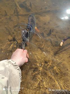 Нажмите на изображение для увеличения.

Название:	IMG_20260405_122420.jpg
Просмотров:	42
Размер:	422.1 Кб
ID:	4558394