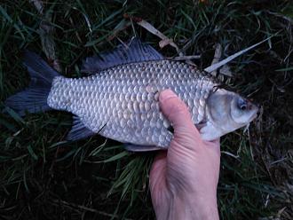 Нажмите на изображение для увеличения.  Название:	IMG_20260402_201405.jpg Просмотров:	0 Размер:	398.1 Кб ID:	4558431