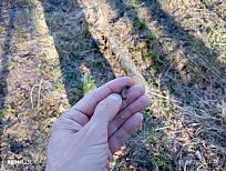 Нажмите на изображение для увеличения.  Название:	IMG_20260405_164637.jpg Просмотров:	0 Размер:	577.4 Кб ID:	4558434