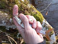 Нажмите на изображение для увеличения.  Название:	IMG_20260405_175229.jpg Просмотров:	0 Размер:	493.2 Кб ID:	4558435