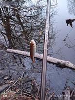 Нажмите на изображение для увеличения.  Название:	IMG_20260405_200050.jpg Просмотров:	0 Размер:	402.3 Кб ID:	4558437