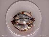 Нажмите на изображение для увеличения.  Название:	IMG_20260405_201101.jpg Просмотров:	0 Размер:	346.3 Кб ID:	4558438