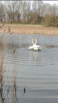 Нажмите на изображение для увеличения.

Название:	Screenshot_2026-04-06-20-55-08-86_92460851df6f172a4592fca41cc2d2e6.jpg
Просмотров:	48
Размер:	481.7 Кб
ID:	4558493