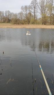 Нажмите на изображение для увеличения.

Название:	Screenshot_2026-04-06-20-55-55-62_92460851df6f172a4592fca41cc2d2e6.jpg
Просмотров:	36
Размер:	417.4 Кб
ID:	4558494