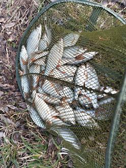 Нажмите на изображение для увеличения.  Название:	IMG_20260406_182645.jpg Просмотров:	0 Размер:	476.9 Кб ID:	4558497