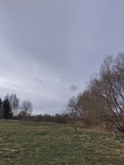 Нажмите на изображение для увеличения.  Название:	image_600000.jpg Просмотров:	7 Размер:	233.5 Кб ID:	4558498