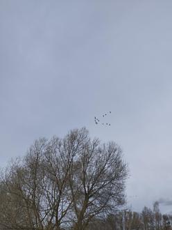 Нажмите на изображение для увеличения.

Название:	IMG_20260406_181732.jpg
Просмотров:	82
Размер:	221.2 Кб
ID:	4558499