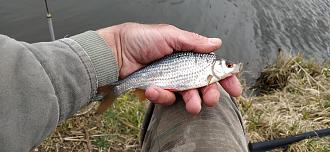 Нажмите на изображение для увеличения.

Название:	IMG_20260406_132154.jpg
Просмотров:	150
Размер:	485.2 Кб
ID:	4558509